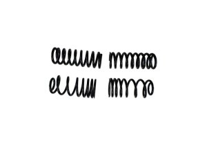 Ford Mustang Suspension Lift Kit - Front + Rear - Ford Racing - Lowering Springs - `79-`04